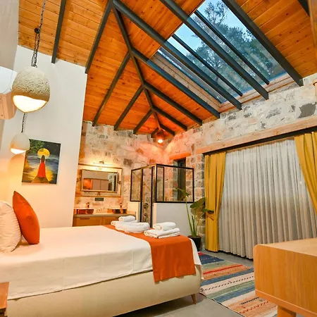 Skylight Goecek